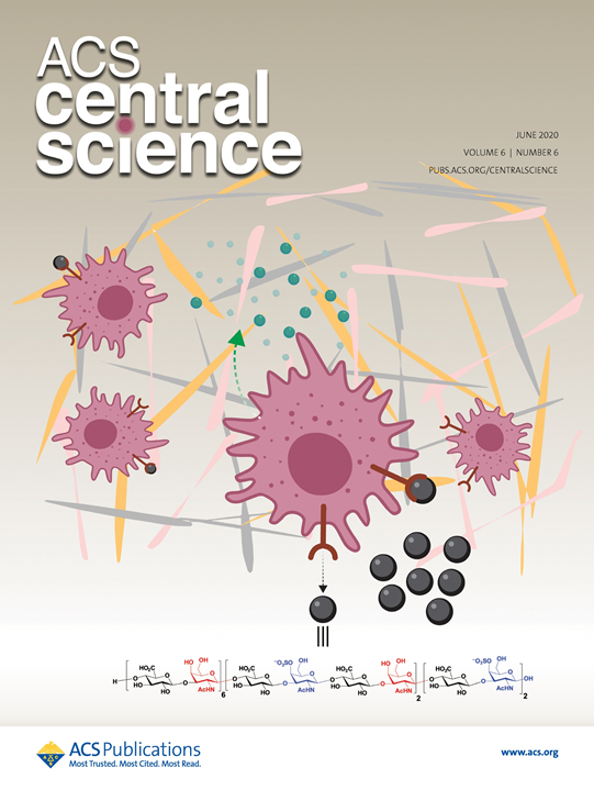 MSU Foundation Prof. Xuefei Huangâ€™s recent study highlighted as Cover Article in ACS Central Science